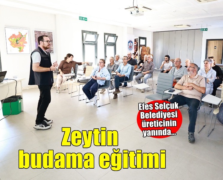 Efes Selçuk'ta zeytin üreticilerine budama eğitimi