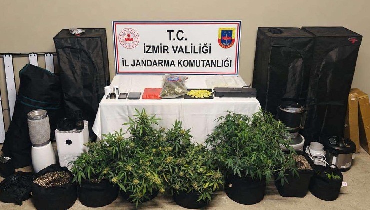 Evinde kenevir yetiştiren kişi gözaltına alındı!