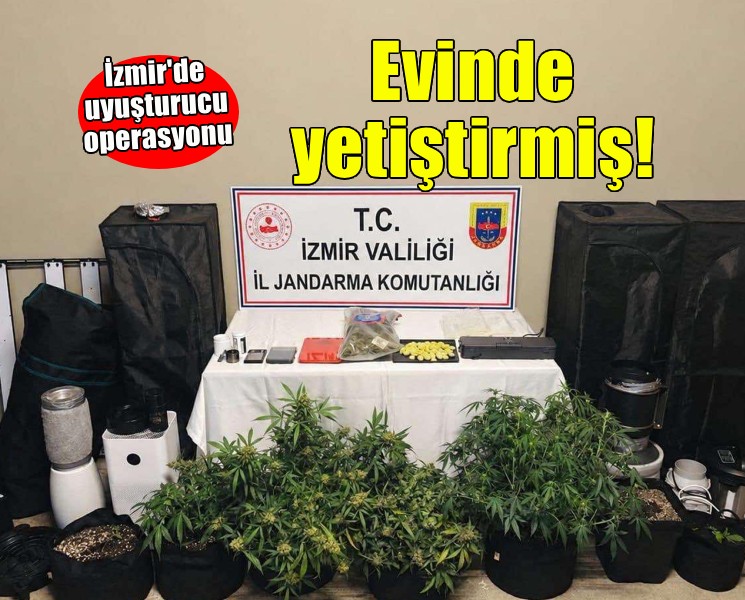 Evinde kenevir yetiştiren kişi gözaltına alındı!