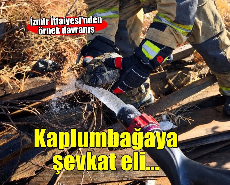 İzmir İtfaiyesi'nden kaplumbağaya şefkat eli
