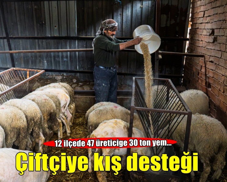 Meraları yanan çiftçiye kış öncesi destek