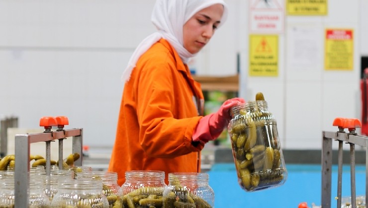 Türkiye'nin 9 aylık turşu ihracatı 301 milyon doları aştı