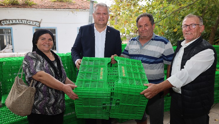 Urla Belediyesi’nden zeytin üreticisine hasat eğitimi ve kasa desteği