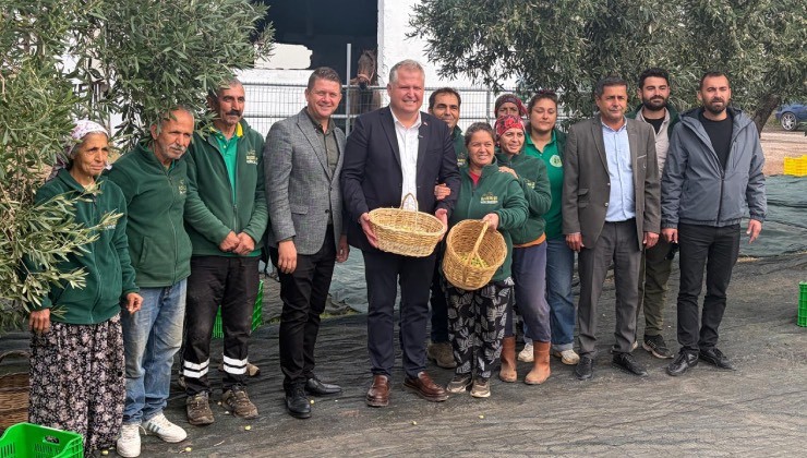 Urla Zeytin ve Sanat Festivali için geri sayım… Ziyaretçiler zeytini farklı yönleriyle tanıyacak