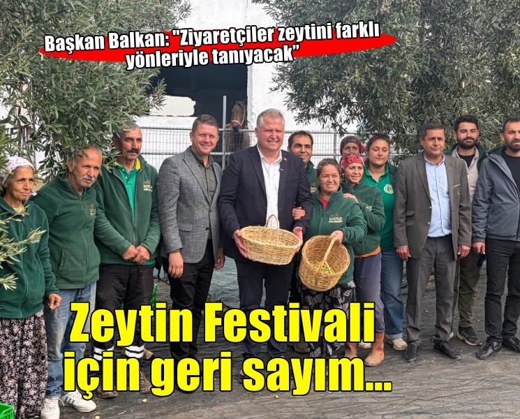 Urla Zeytin ve Sanat Festivali için geri sayım… Ziyaretçiler zeytini farklı yönleriyle tanıyacak