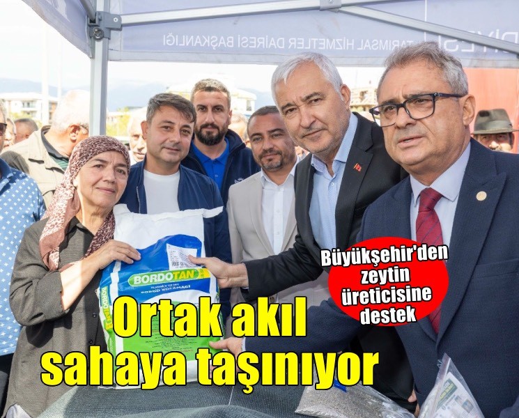 Zeytinde ortak akıl sahaya taşınıyor