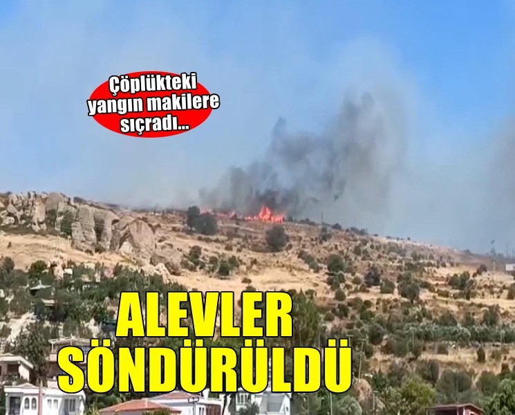 İzmir'de makilik alanda yangın!