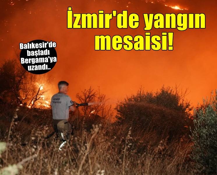 İzmir’in kuzeyinde orman yangını alarmı