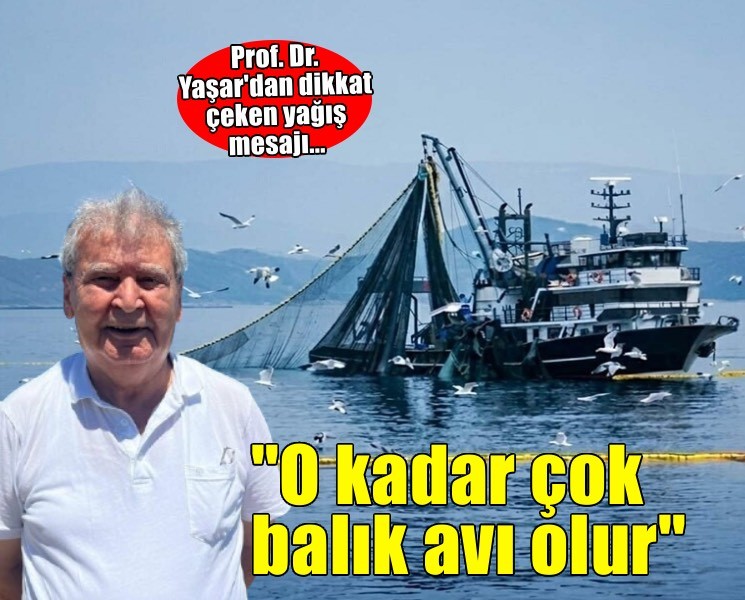 Prof. Dr. Yaşar: Ne kadar çok yağmur yağarsa o yıl o kadar çok balık avı olur