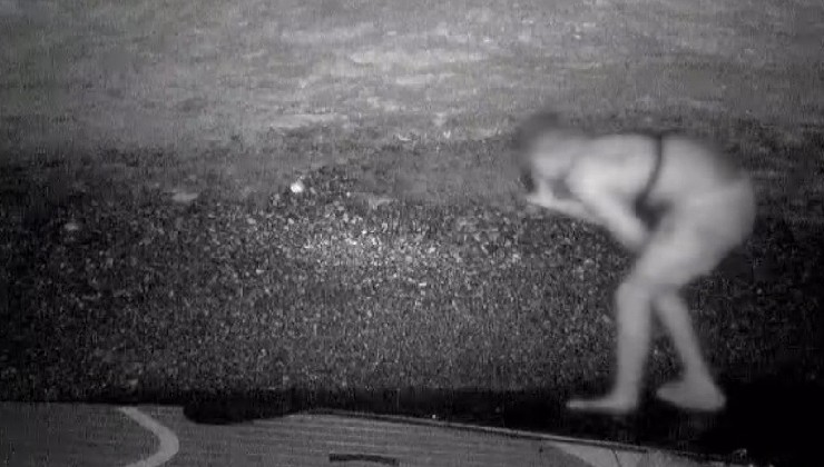 Akdeniz foklarının yuvasına giren kişi fotokapanla görüntülendi