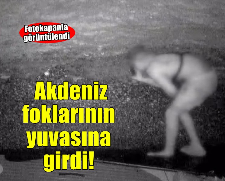 Akdeniz foklarının yuvasına giren kişi fotokapanla görüntülendi