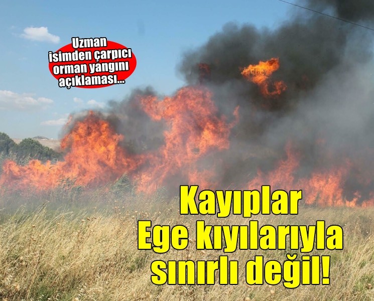 'Yangın riski yalnızca Ege ve Akdeniz'le sınırlı deği'