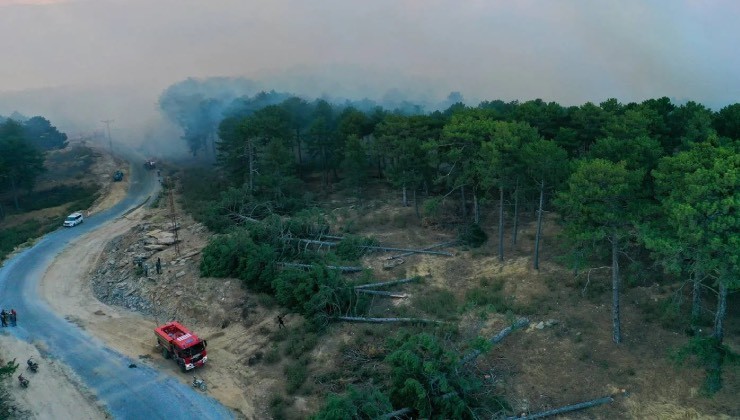 Bakan Yumaklı, orman yangınlarındaki son durumu açıkladı