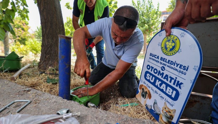 Buca Belediyesi’nden sokak hayvanlarına can suyu