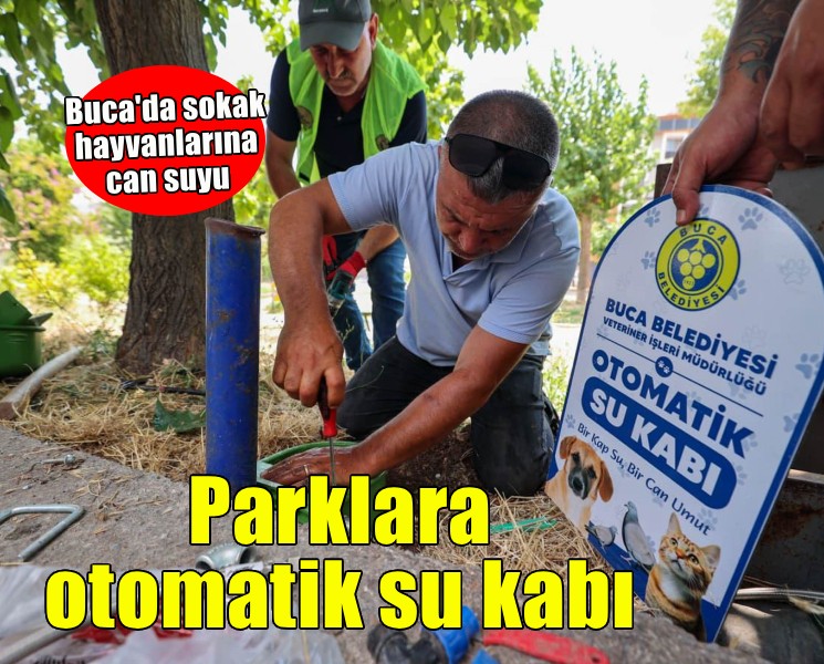 Buca Belediyesi’nden sokak hayvanlarına can suyu