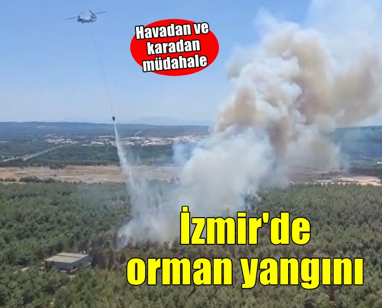 Buca'da orman yangını