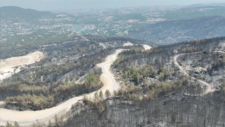Çine'deki orman yangınıyla ilgili iki kişi gözaltına alındı