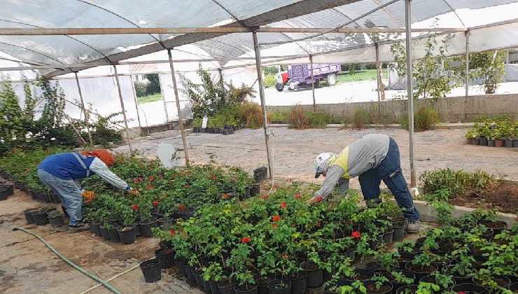 Didim Belediyesi kendi üretimi ile kenti güzelleştiriyor