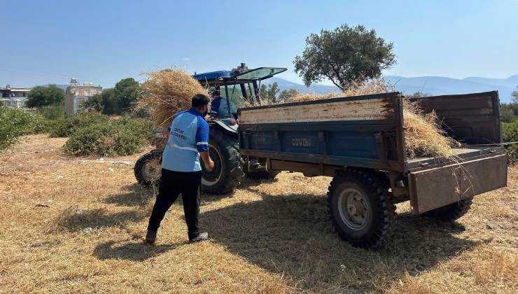 Didim Belediyesi kent genelinde ot biçme ve budama çalışmalarını sürdürüyor