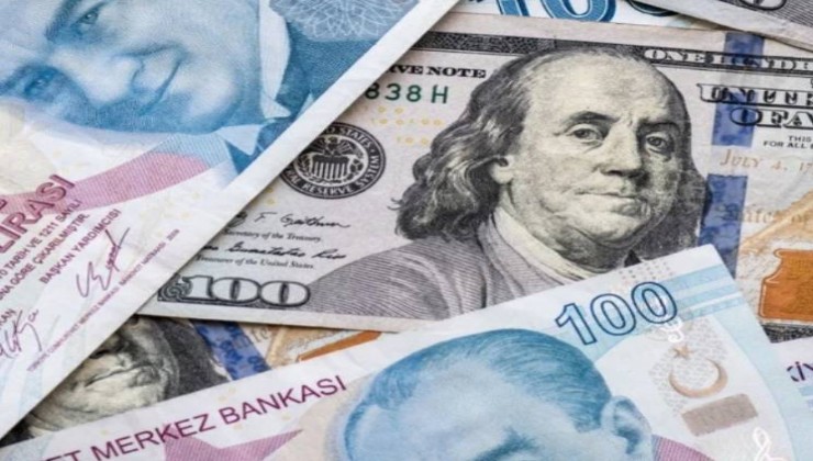 Dolar/TL tarihi zirveyi gördü