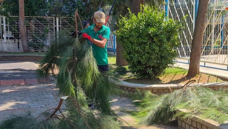 Efeler’de yeşil alanların bakımı aralıksız sürüyor
