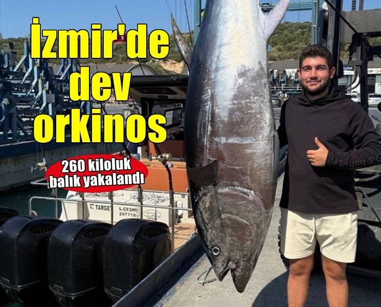 İzmir'de balıkçılar 2 metre 80 santim boyunda orkinos yakaladı