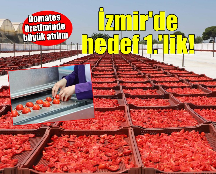 İzmir'de domates üretiminde hedef liderlik!