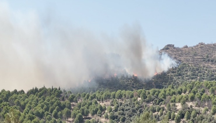 İzmir'de orman yangını