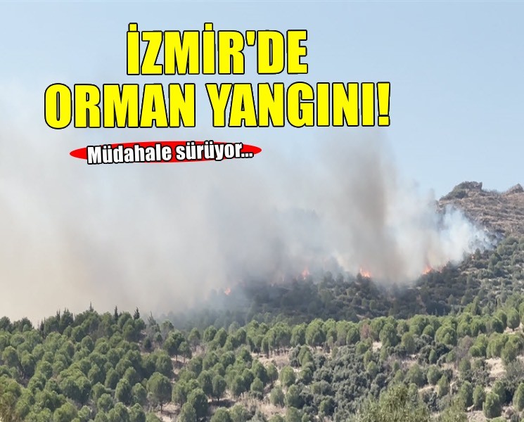 İzmir'de orman yangını
