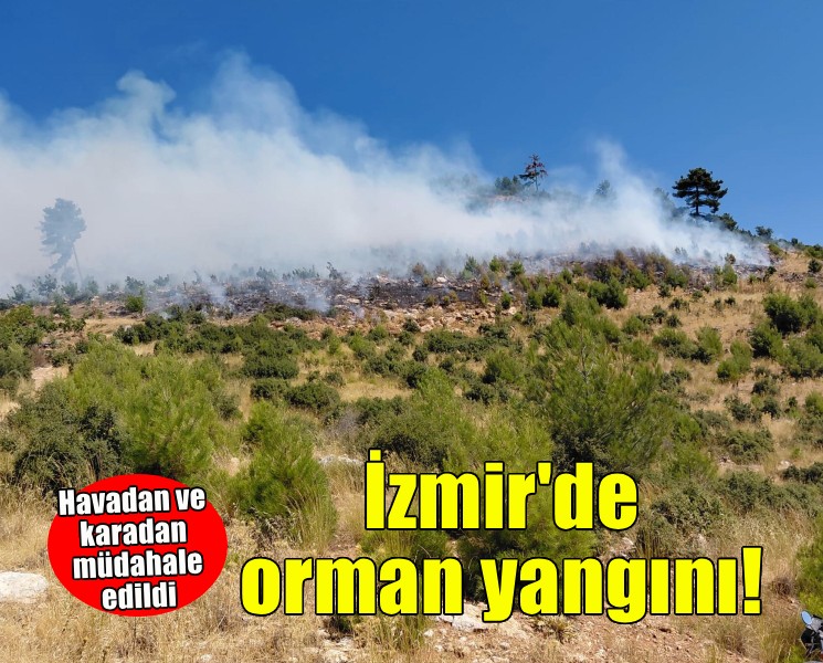 İzmir'de orman yangını!