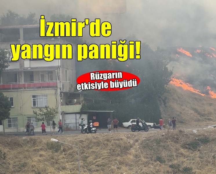 İzmir'de otluk alanda yangın!