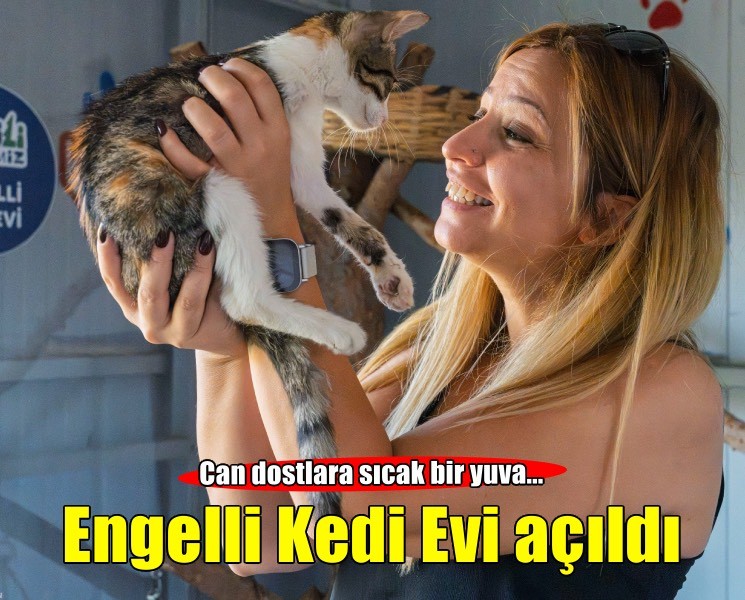 İzmir’de engelli kedilere sıcak bir yuva