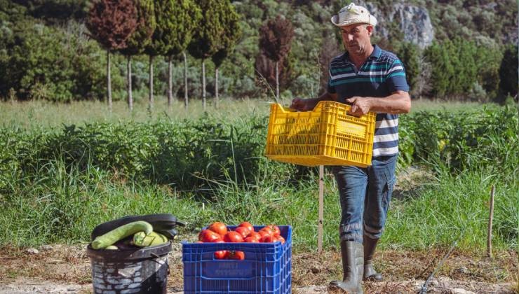 Kuşadası’nda yazın bereketi Adabahçe ile yaşanıyor