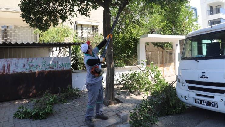 Nazilli’de sonbahar hazırlığı: Park ve sokaklarda kapsamlı bakım seferberliği