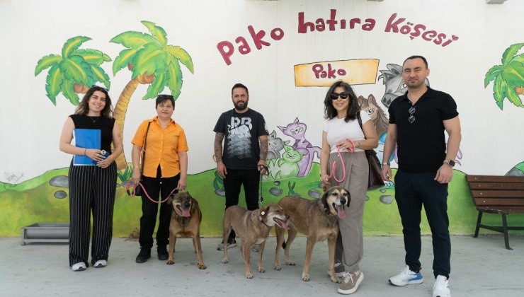 Patili Dostlar İş Başında