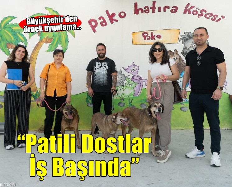 Patili Dostlar İş Başında