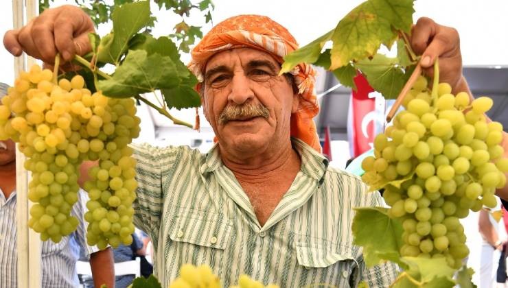 Urla’da 2600 yıllık gelenek; Bağbozumu Şenlikleri başlıyor