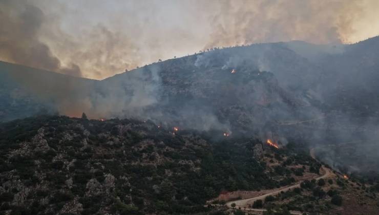 1 Haziran’dan bu yana orman yangınlarıyla ilgili 16 kişi tutuklandı