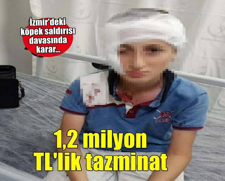 11 yaşındaki çocuğa köpek saldırısında 1,2 milyon TL tazminat kararı
