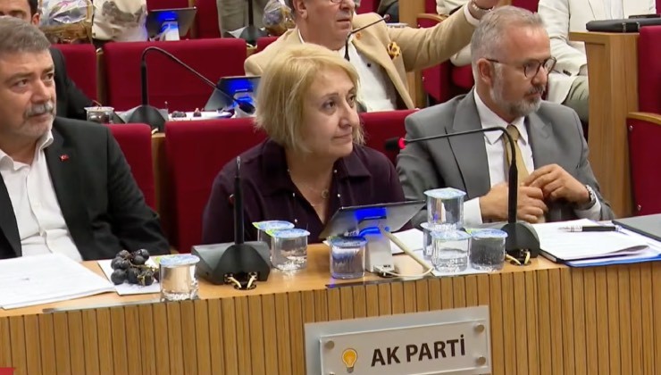 Başkan Vekili Şen mecliste konuştu:  Tek mesele var, o da Menderes!