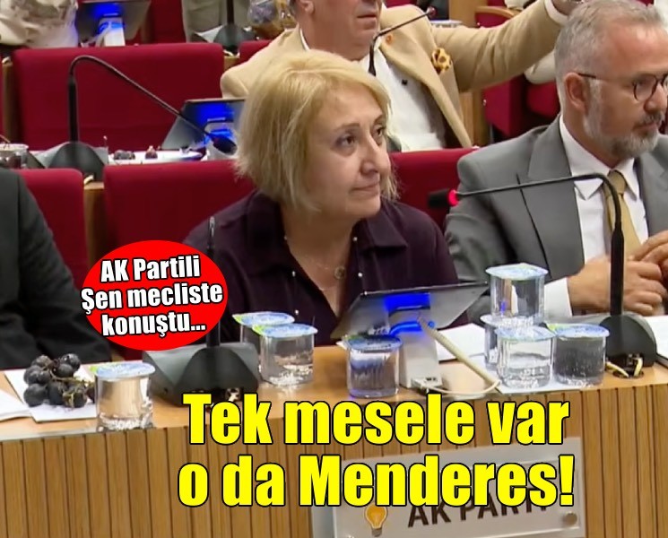 Başkan Vekili Şen mecliste konuştu:  Tek mesele var, o da Menderes!