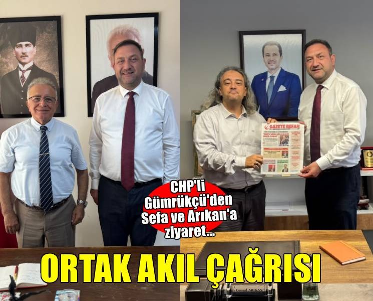 CHP'li Gümrükçü'den siyasi partilere ortak akıl çağrısı