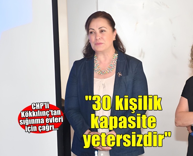 CHP'li Kökkılınç: 'Kadın sığınma evi kapasitesi yetersizdir'