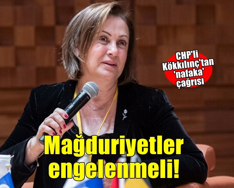 CHP'li Kökkılınç'tan 'nafaka' çağrısı: Kadınların mağduriyetine yol açacak adımlardan vazgeçilmeli