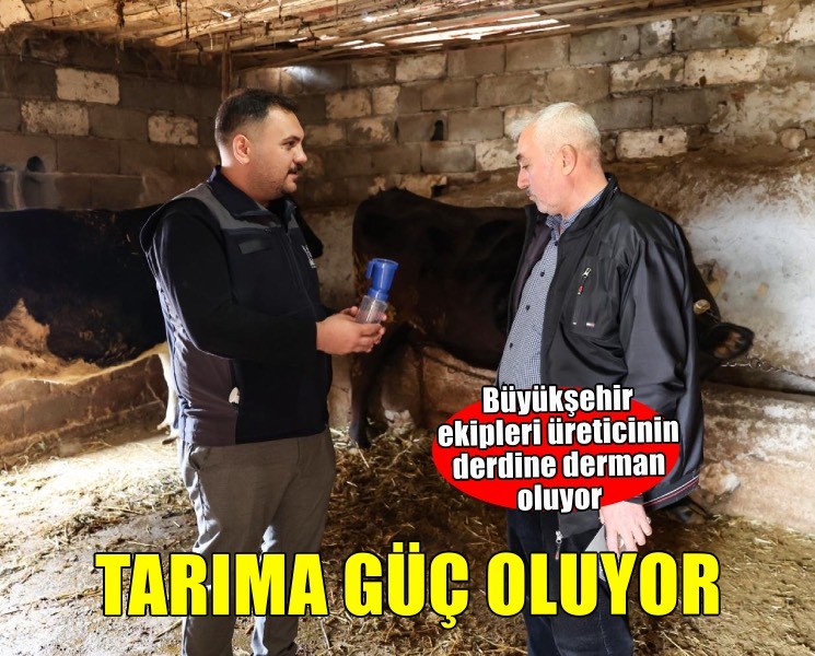 Çocukluk hayalleriyle İzmir tarımına güç oluyorlar