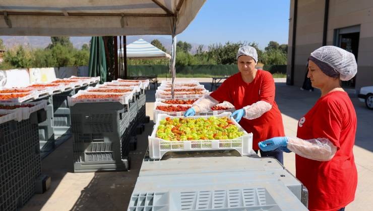 Efeler’in fabrikasında kışa hazırlık mesaisi