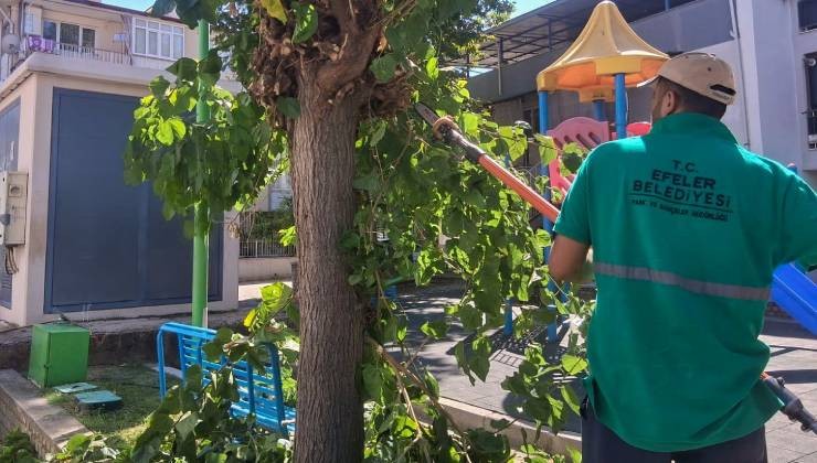 Efeler’in parklarında düzenli bakım sürüyor