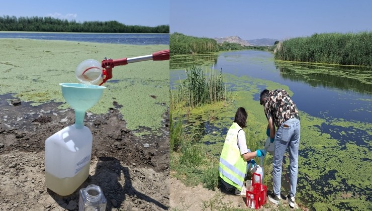 Gediz’de 7. Dönem Raporu: Yaz aylarında kirlilik yükselişe geçti