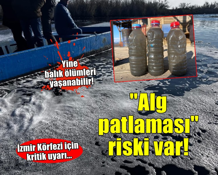 İzmir Körfezi için kritik uyarı... 'Alg patlaması' riski var!