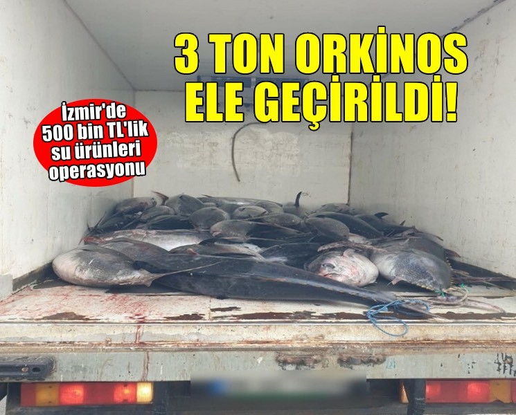 İzmir'de 3 ton mavi yüzgeçli orkinos ele geçirildi